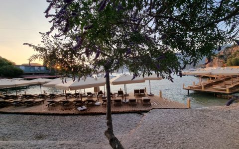 94f178c0-e0d5-49aa-a223-39927d0b62bf