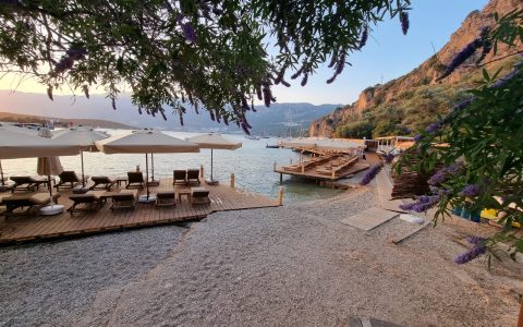 9bf86089-fa0b-4b4c-820c-9b7229ea96ac